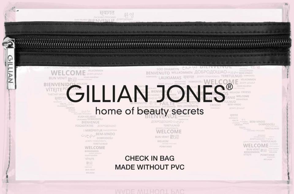 Gillian Jones Check Inbag Transparent