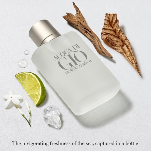 giorgio armani acqua di gio pour homme 200 ml