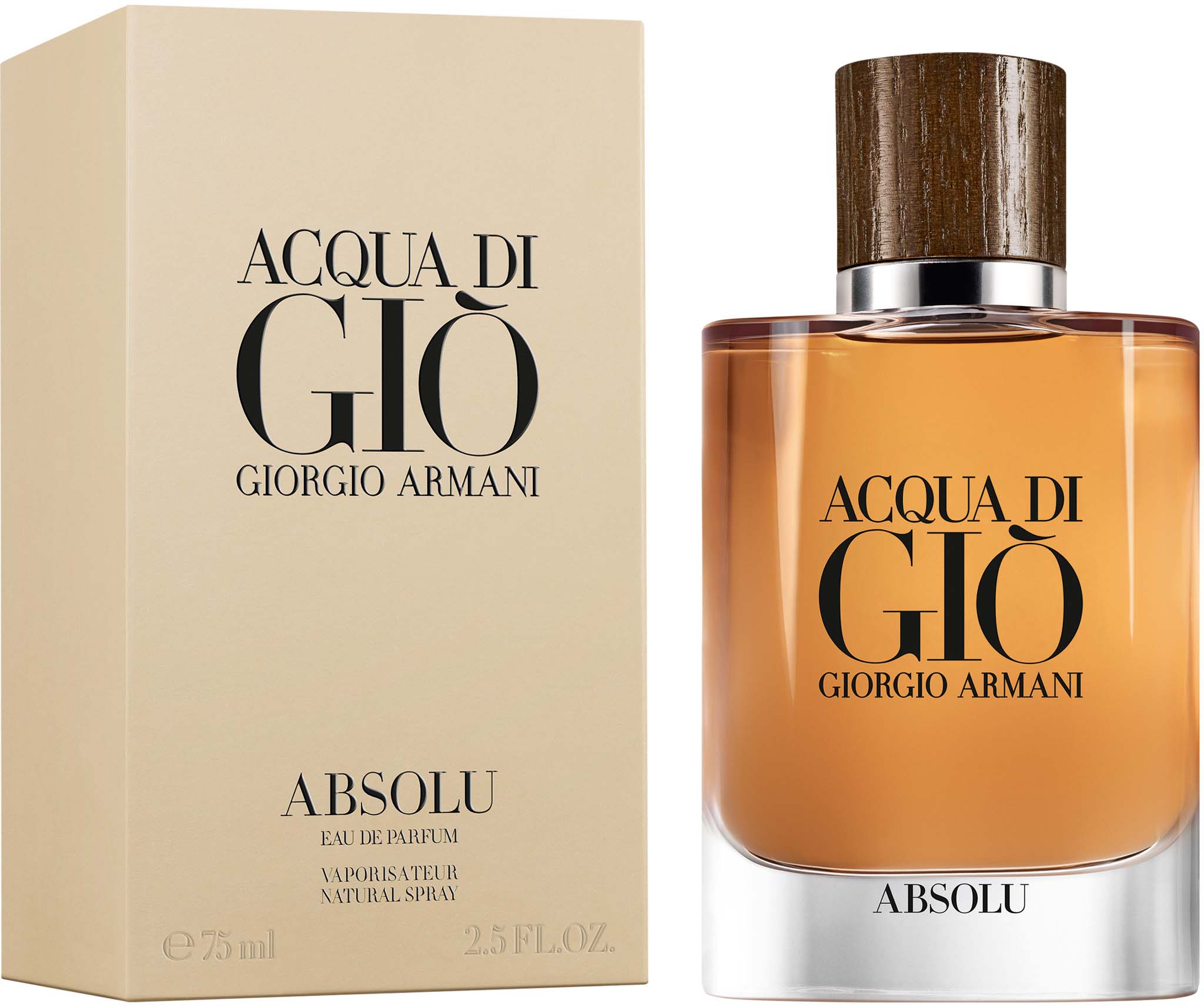 giorgio armani acqua di gio absolu