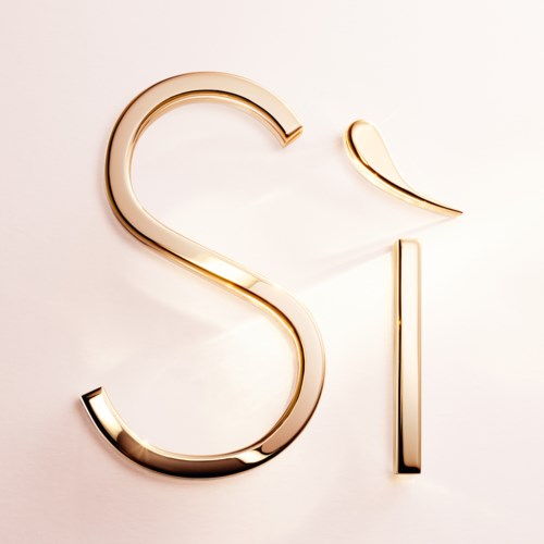 A gold letter S with a small top half-circle and a straight line next to it.
