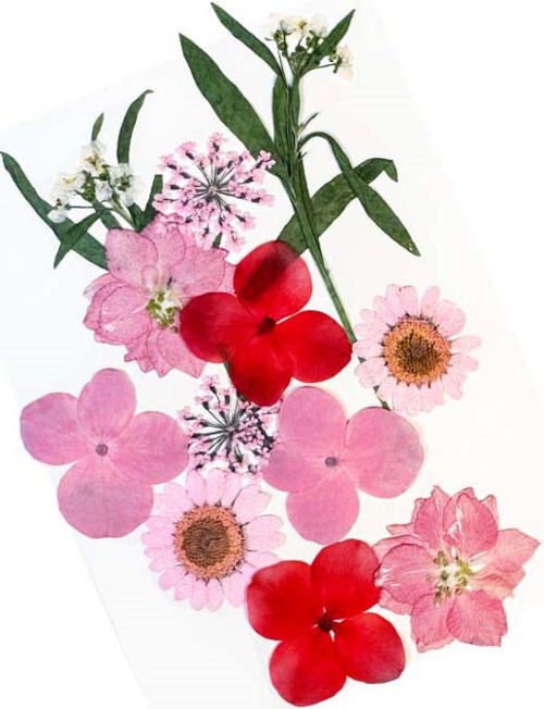 Glitternisti Face Flowers Pink & Greens