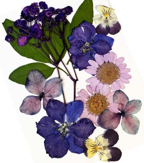 Glitternisti Face Flowers Purple & Greens