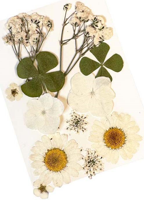 Glitternisti Face Flowers White & Greens