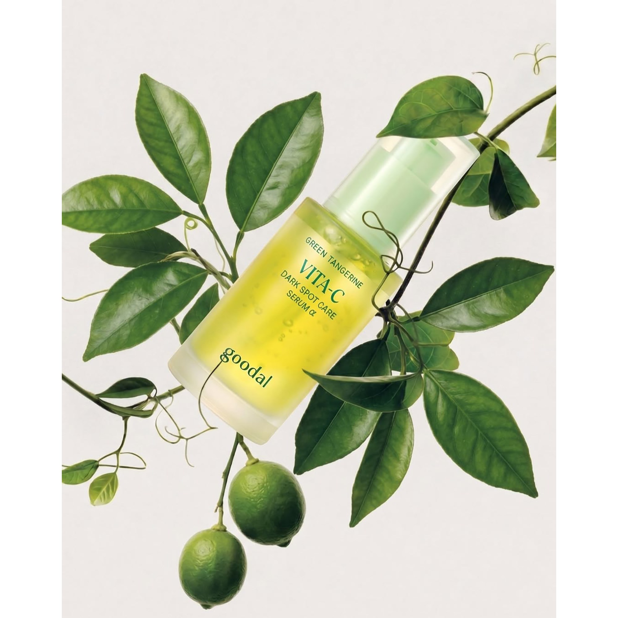 Goodal Green Tangerine Vita C Dark Spot Care Serum Alpha 40 ml (obrázok 5)