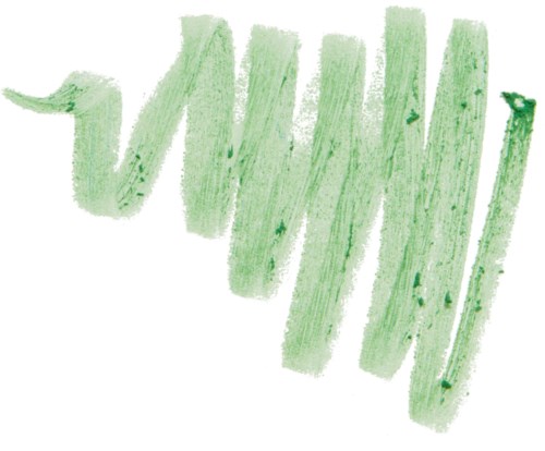 A light green crayon mark, zigzag line with a small curl at the start and a thin line at the end.
