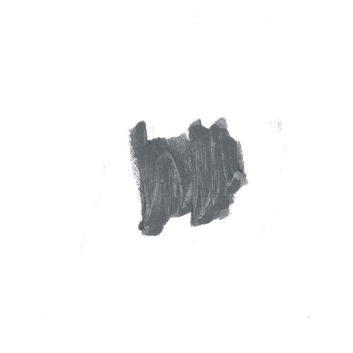 A small, dark, irregularly shaped mark on a white background.