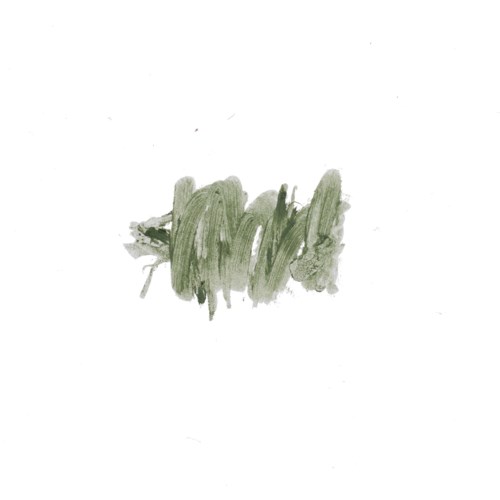 A small, abstract green brushstroke on a white background.
