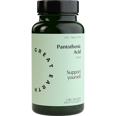 Great Earth Pantothenic Acid 120 st