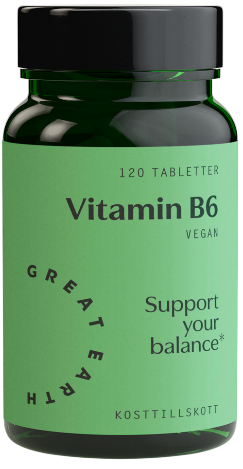 Great Earth Vitamin B6 120 st