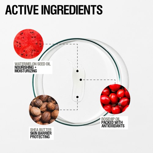 Diagrammet visar ingredienser: vattenmelonfröolja, shea smör, nyponolja och en mätare. Var och en ger vård för huden.
