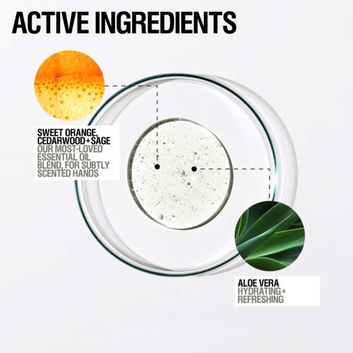 Diagram som visar ingredienser: söt apelsin, cederträ, salvia och aloe vera.