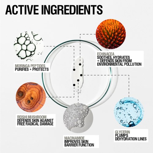 Diagram showing active ingredients: Moringa Peptides, Echinacea, Reishi Mushroom, Glycerin, Niacinamide.