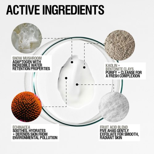 Diagram med fire ingredienser: snesvamp, kaolinler, echinacea og frugt-syreblanding til sund hud.