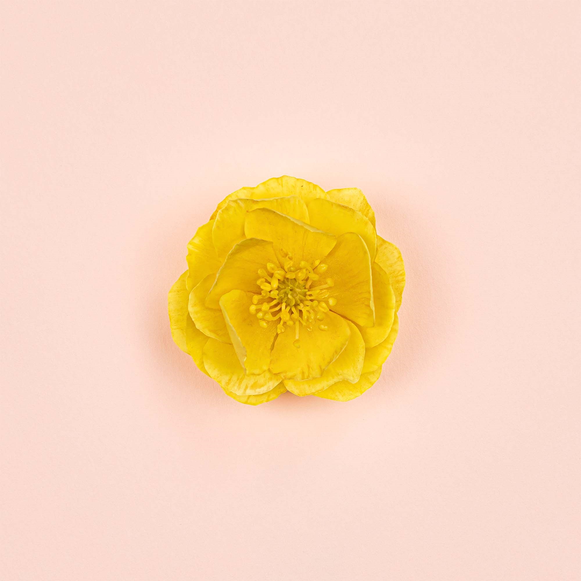 Gucci Bloom Ambrosia d'Oro Parfum 100 ml (obrázok 6)