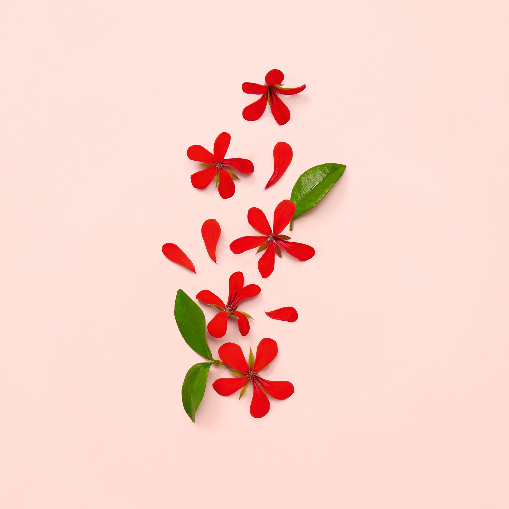 Gucci Bloom Eau de Parfum for Women 100 ml (obrázok 4)