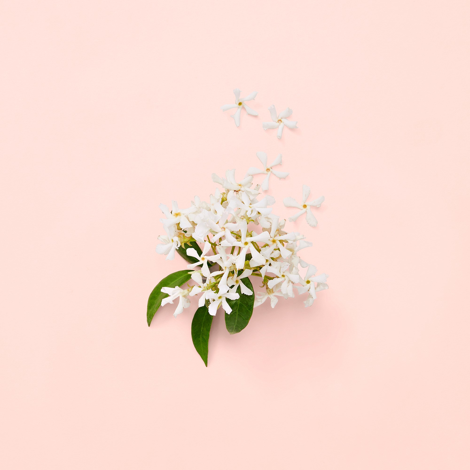 Gucci Bloom Eau de Parfum for Women 100 ml (obrázok 6)