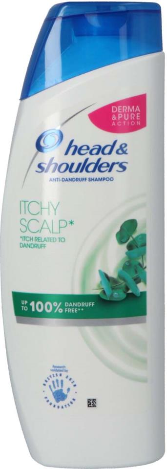 H&S Shampoo Itchy Scalp 500ml