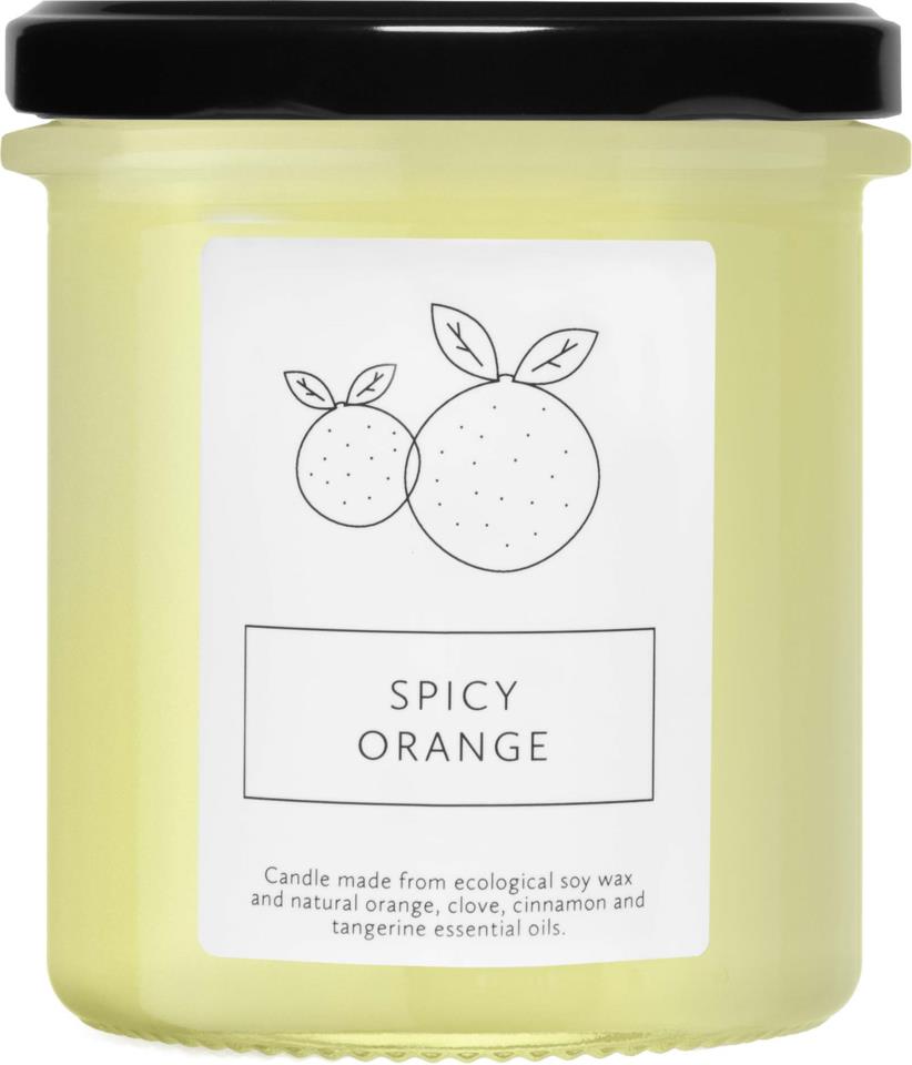 Hagi Spicy Orange Soy Candle 230 g