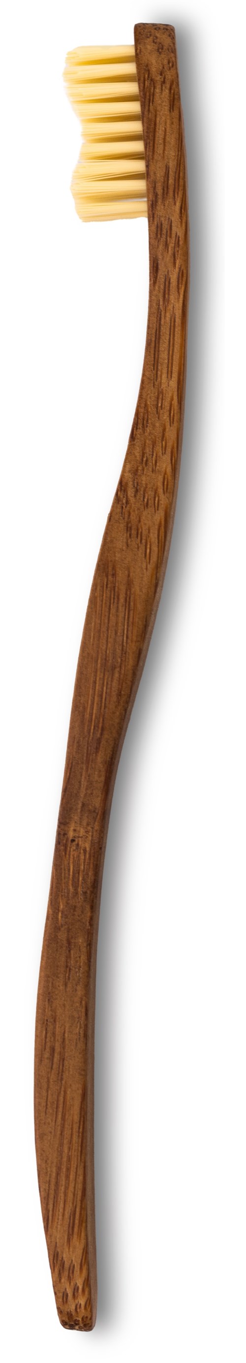 Health & Beauty Bamboo Toothbrush