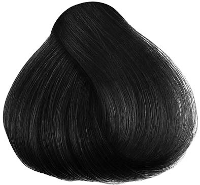 Herman´s Amazing Hair color Black Dahlia
