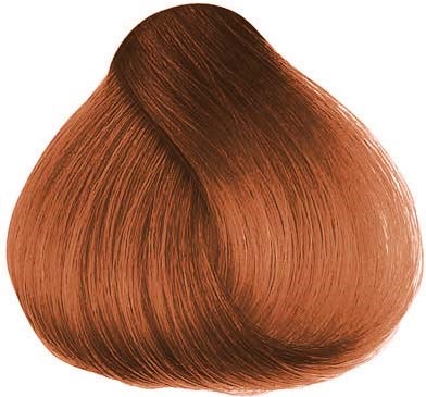 Herman´s Amazing Hair color Hailey Hazel Brown