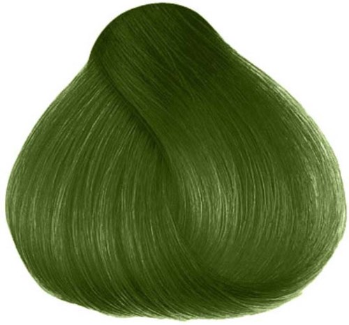 Herman´s Amazing Hair color Jorge Moss