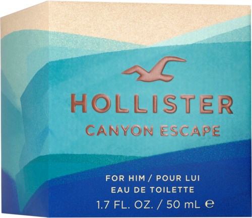 Eine Schachtel mit Möwenlogo und den Worten 'Hollister Canyon Escape', beschreibt ein Herrendüft, 50 ml.
