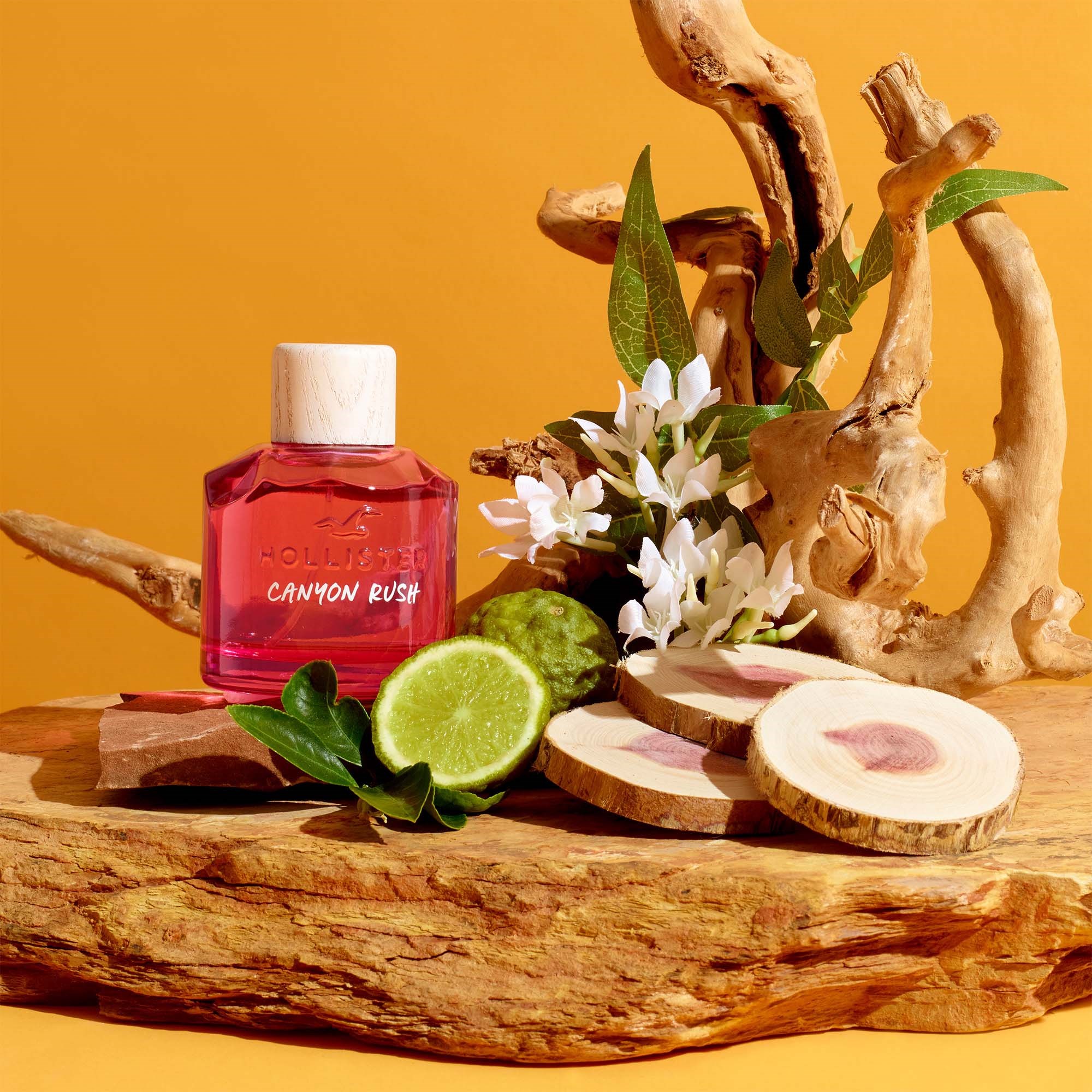 Hollister Canyon Rush Her Eau de Parfum 100 ml (obrázok 3)