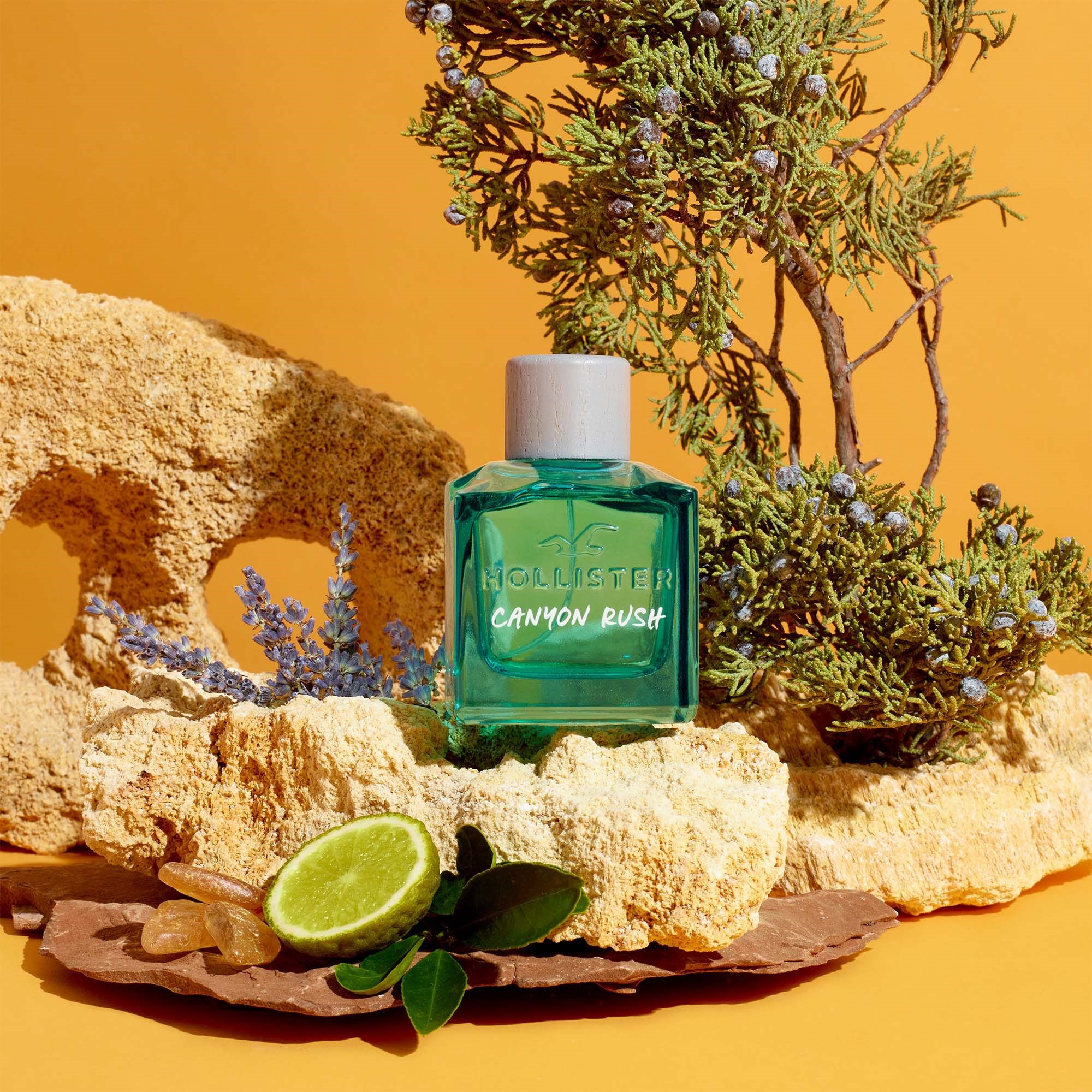 Hollister Canyon Rush Him Eau de Toilette 100 ml (obrázok 3)