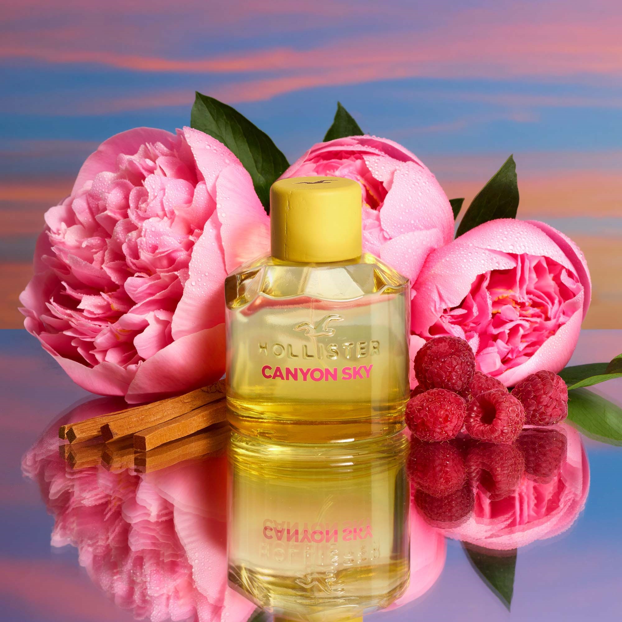 Hollister Canyon Sky For Her Eau de Parfum 100 ml (obrázok 3)
