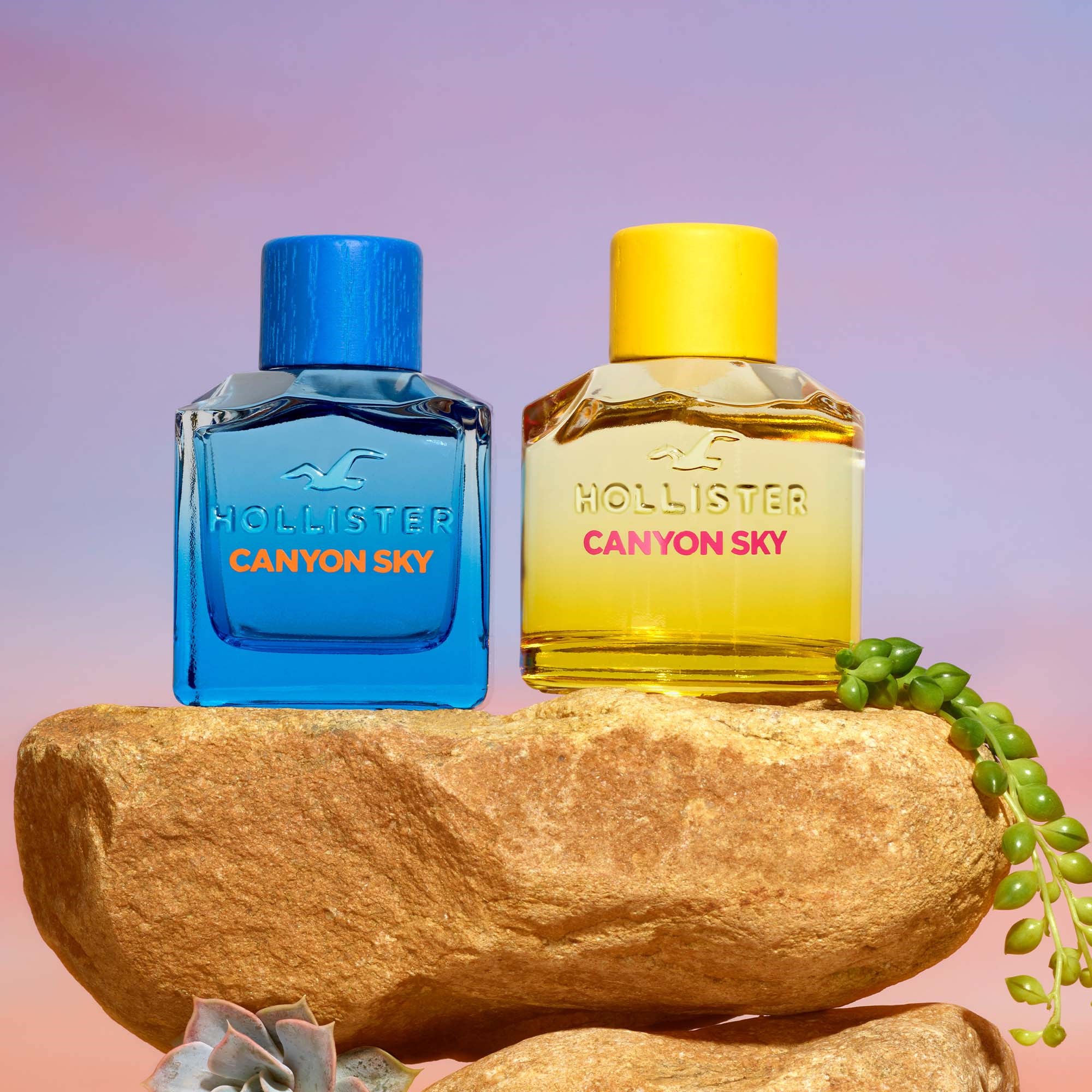 Hollister Canyon Sky For Her Eau de Parfum 100 ml (obrázok 4)