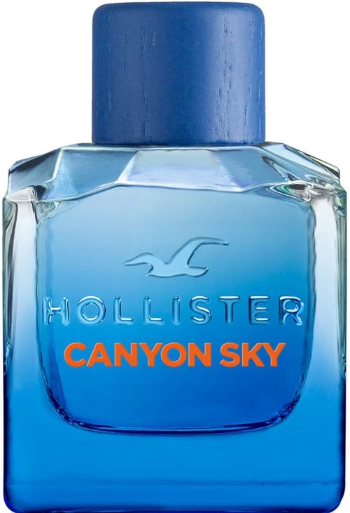 Hollister Canyon Sky For Him Eau de Toilette 100 ml