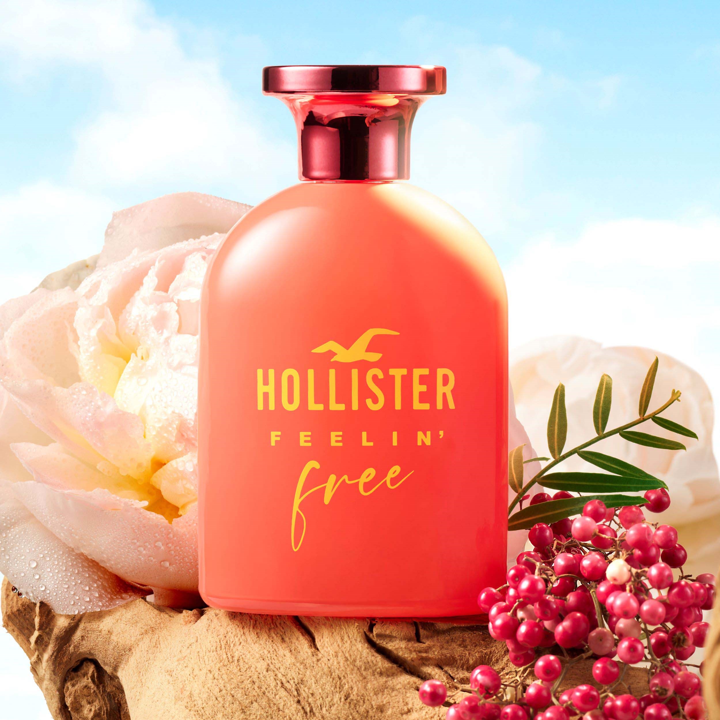 Hollister Feelin´ Free For Her Eau de Parfum 100 ml (obrázok 3)