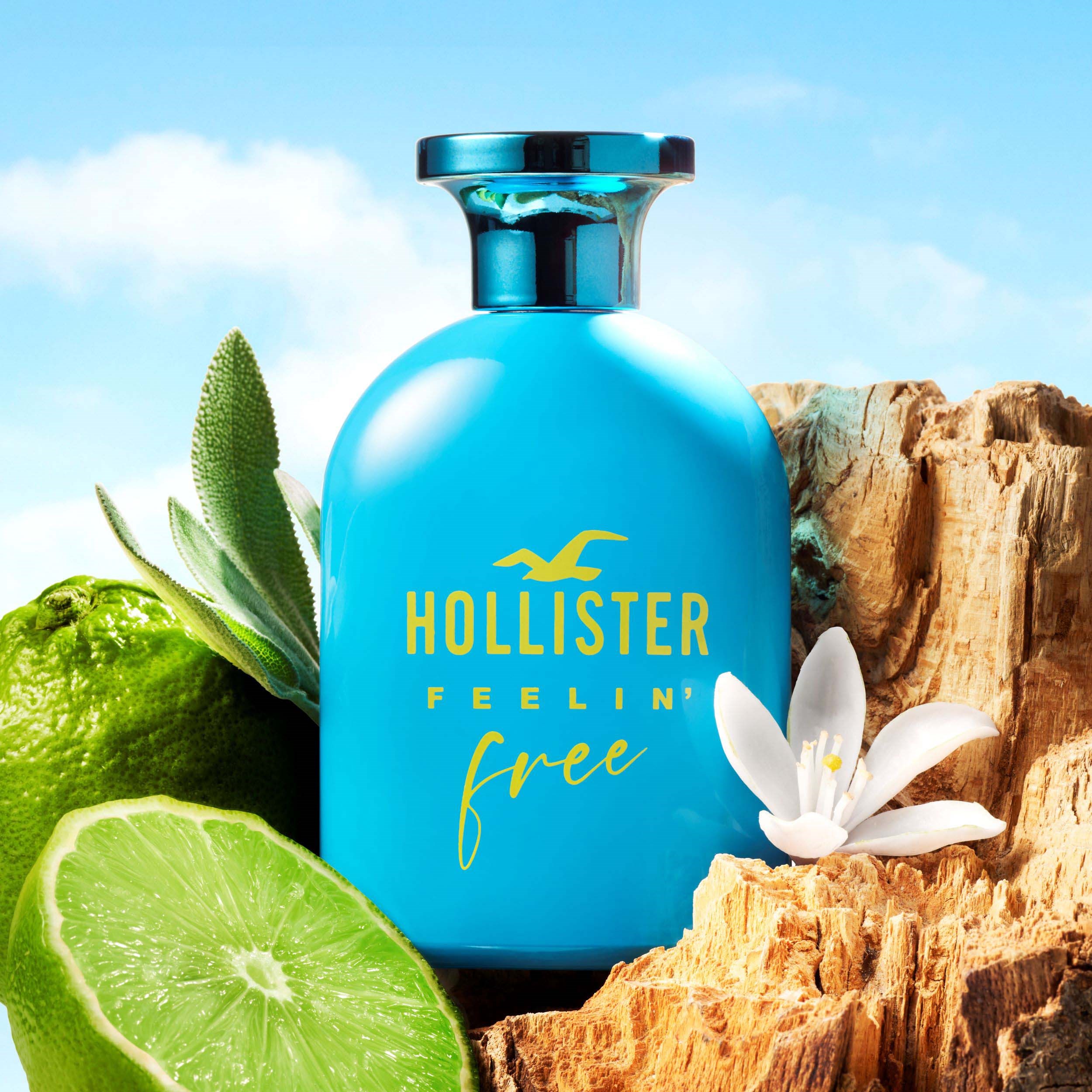 Hollister Feelin´ Free For Him Eau de Toilette 30 ml (obrázok 3)