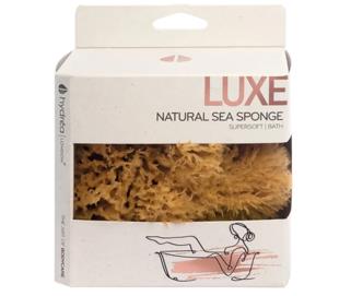 Hydréa London Grass Sea Sponge Caribbean