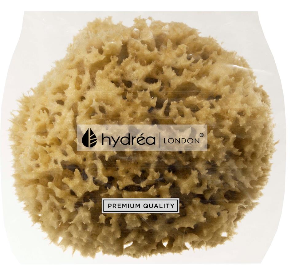 Hydréa London Honeycomb Sea Sponge