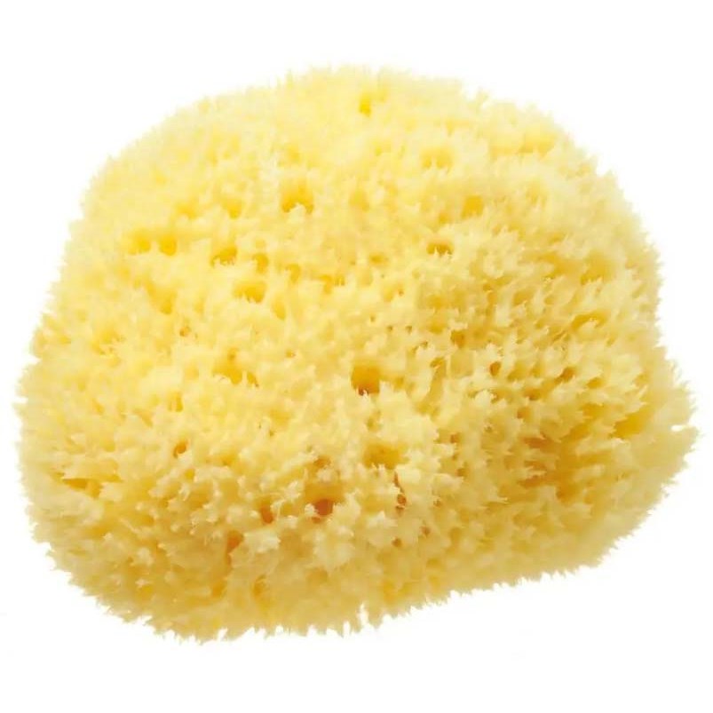 Läs mer om Hydréa London Sea Sponge