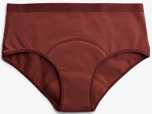 A pair of red-brown underwear, simple design, with a wide waistband and seamless edges.