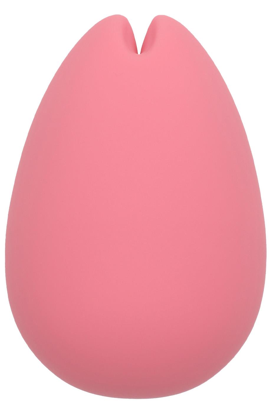 iroha SAKURA Nadeshiko Vibrator