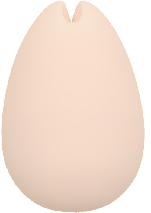 En glatt, ovalformet gjenstand med en liten sprekk øverst, som ligner på et eggeskall.