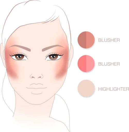 Illustrationen visar tre rougefärger och en highlighter på en kvinnas ansikte som framhäver kinderna.