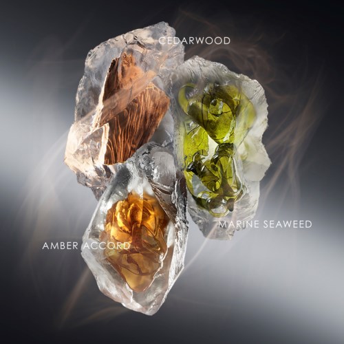 Four ice blocks contain amber, cedarwood, marine seaweed, and green floral elements, creating a unique natural scent blend.