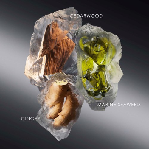 Three ingredients: cedarwood, marine seaweed, and ginger, arranged on clear ice with labels. Modern and clean layout.