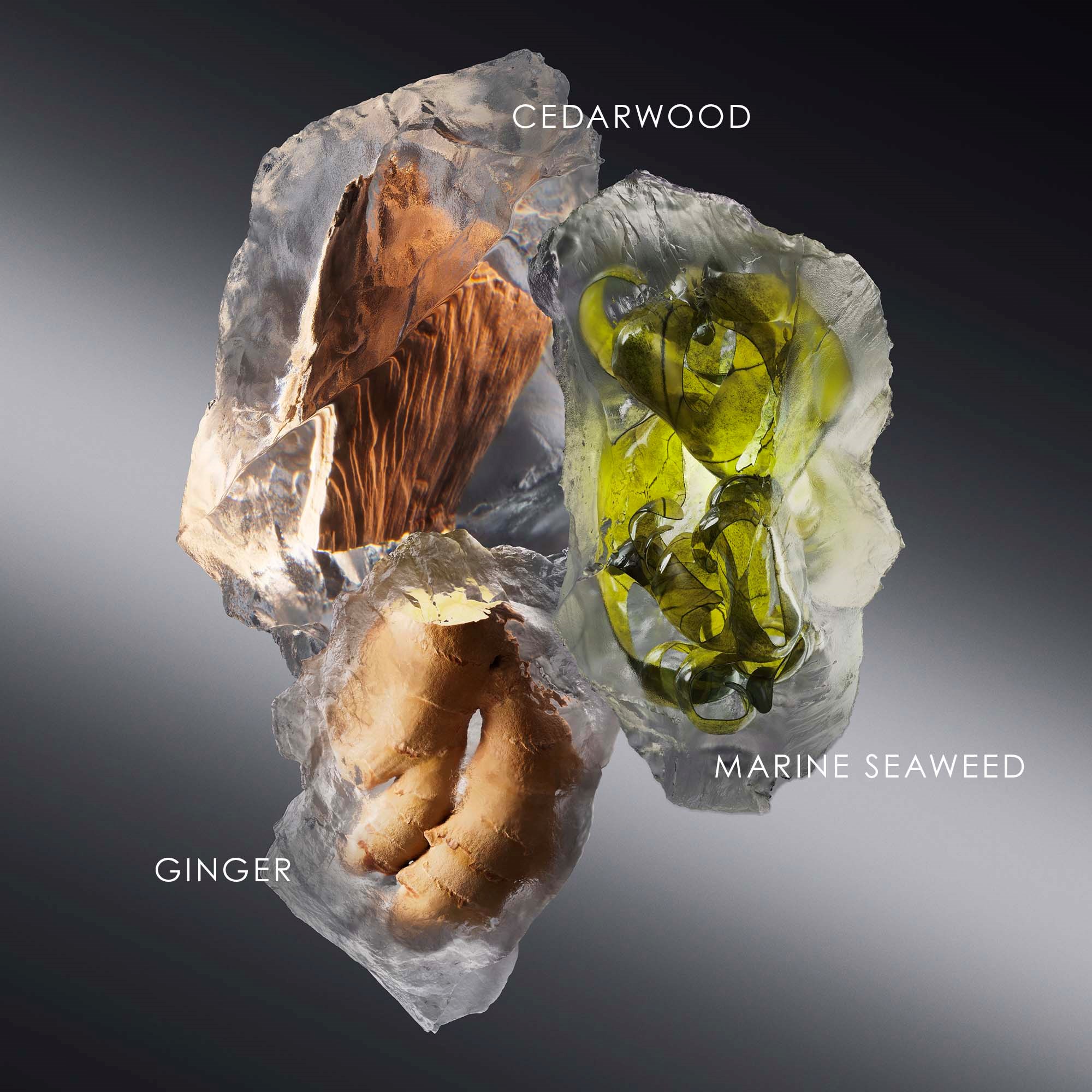 Alternativ bild 1 för Issey Miyake Le Sel D'Issey Eau de Toilette Refill 150 ml