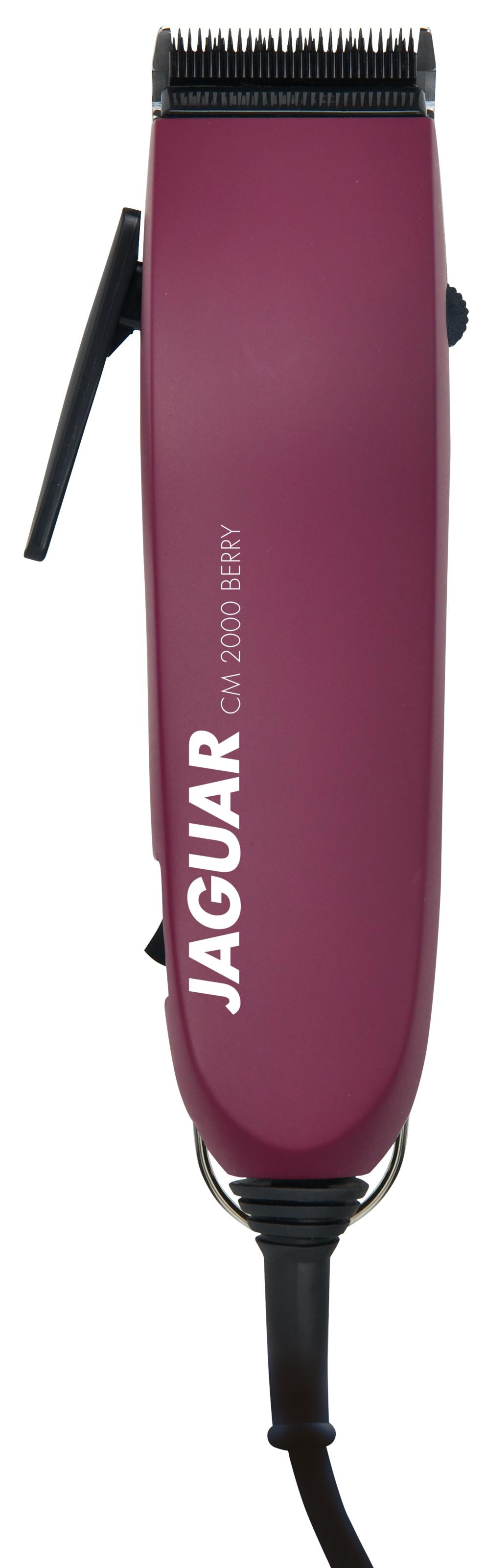 JAGUAR CM 2000