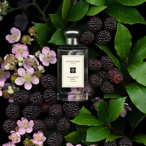 Jo Malone London Blackberry & Bay Cologne Pre-Pack 100 ml | lyko.com