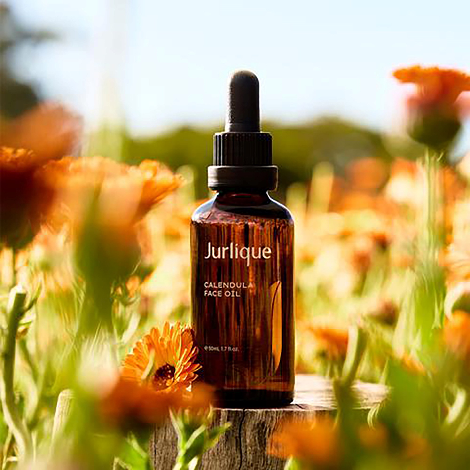 Jurlique Calendula Face Oil 50 ml (obrázok 3)