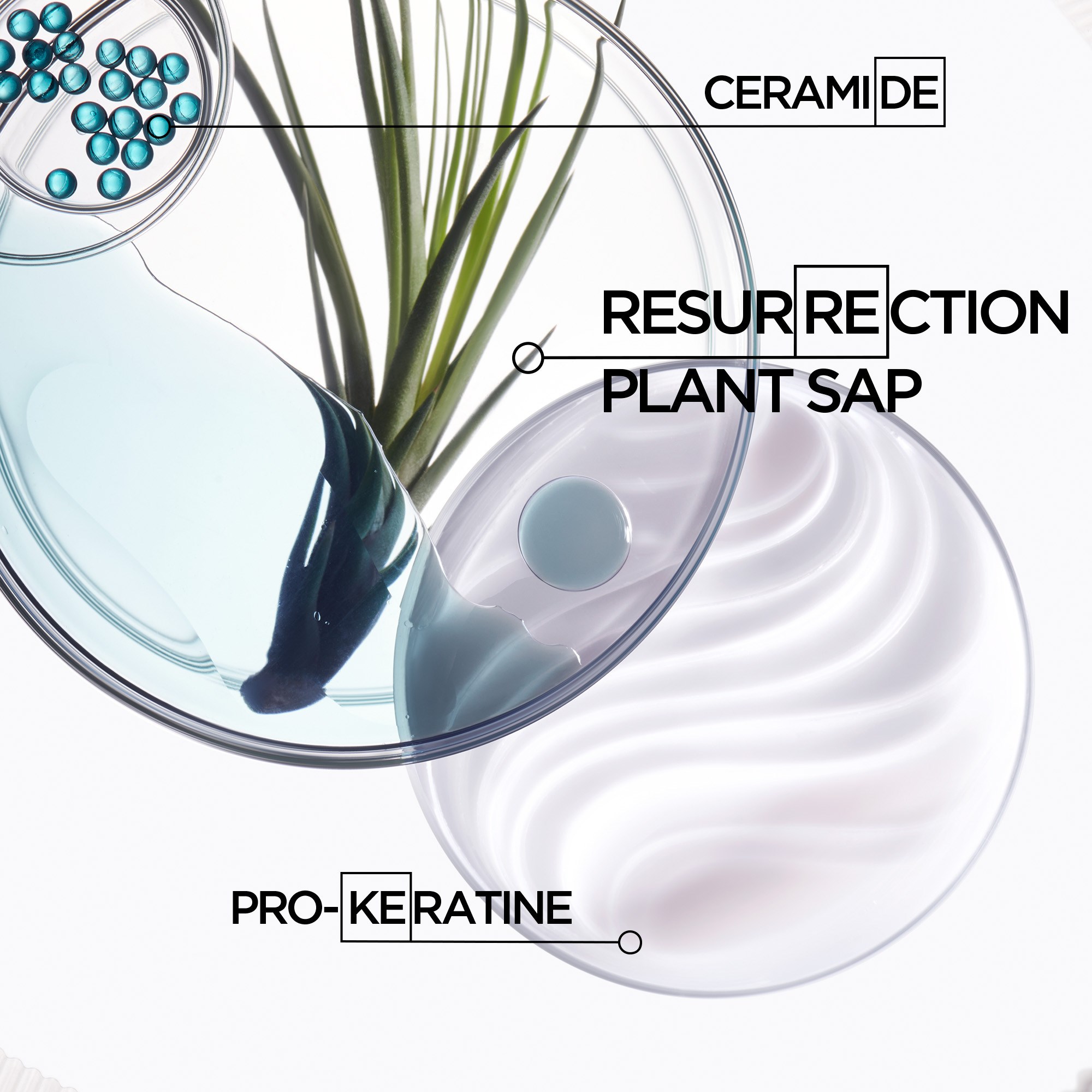 Kérastase Resistance Bain Force Architecte Szampon do włosów 250 ml (obrázok 6)