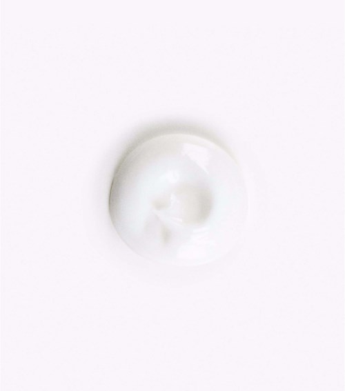 Kiehl's Sunflower Collection Color Preserv Conditioner 200 ml