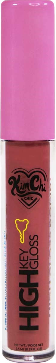 KimChi Chic High Key Gloss Full Coverage Lipgloss Summer Plum